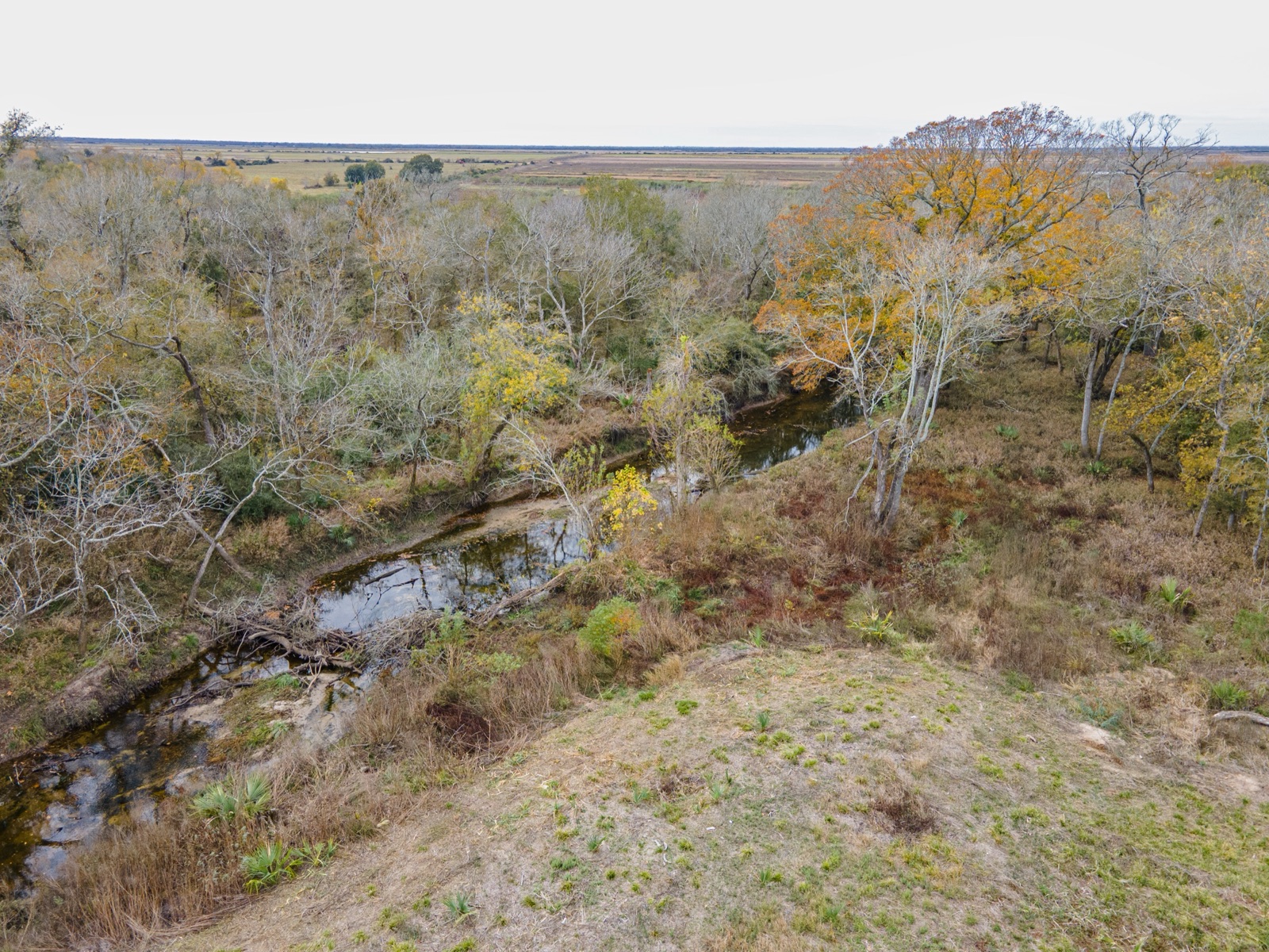 East Bernard Homestead Tracts, Photo 17