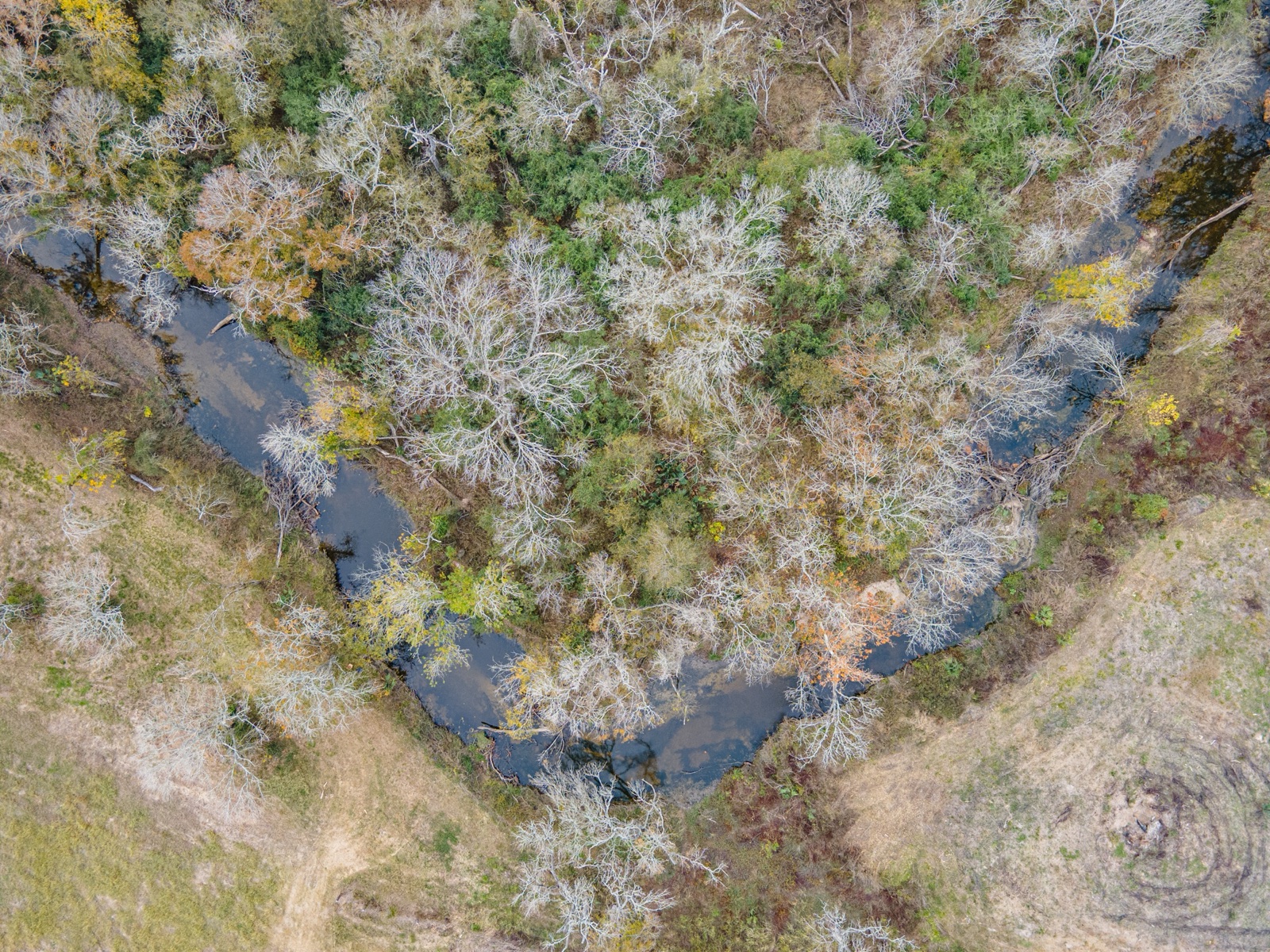East Bernard Homestead Tracts, Photo 19