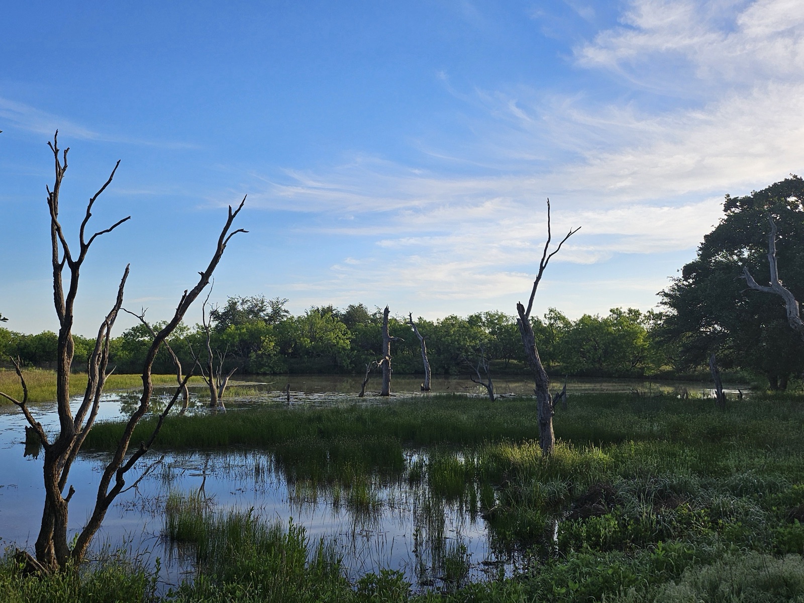 Hilago Ranch, Photo 1