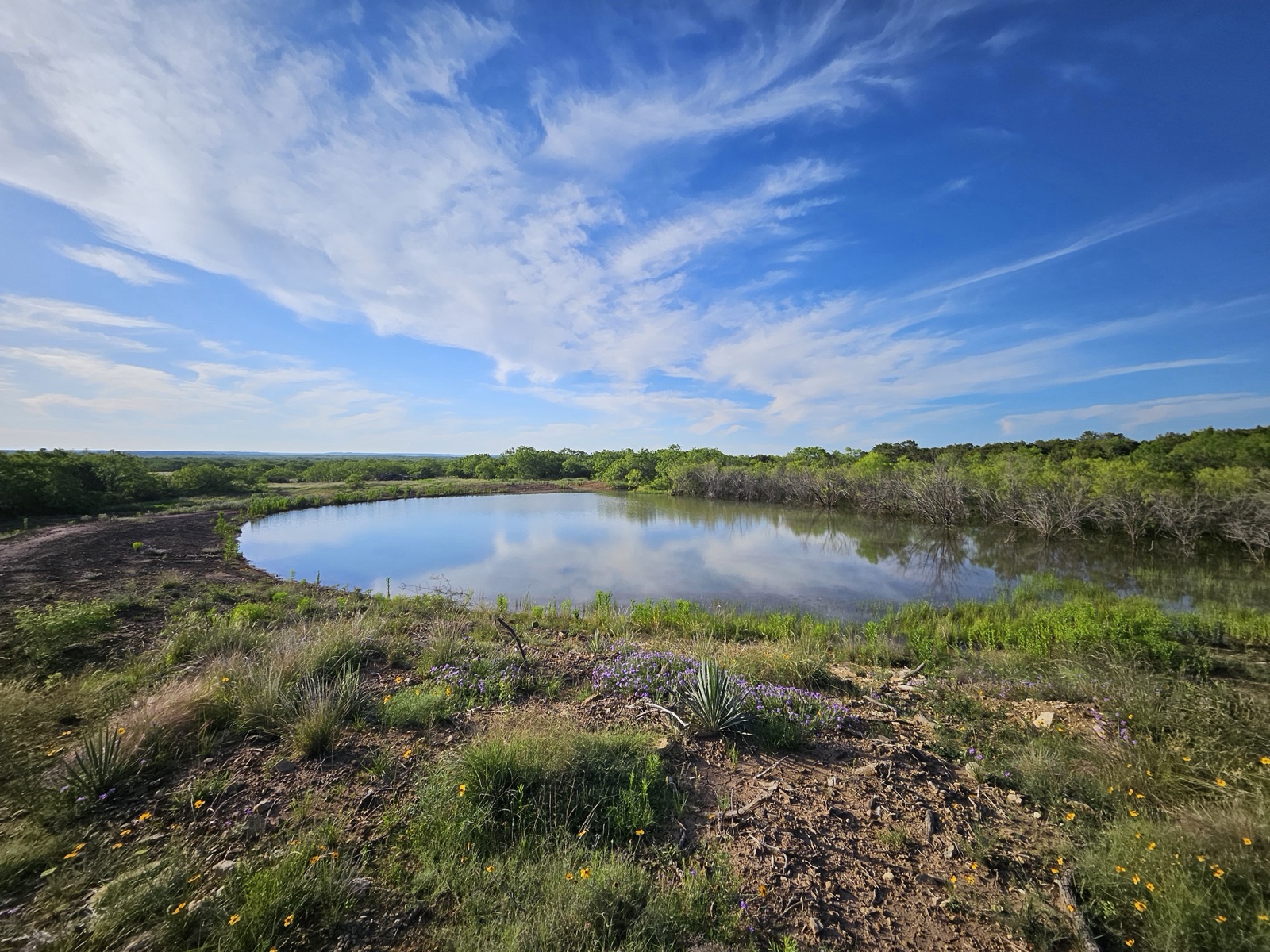 Hilago Ranch, Photo 10