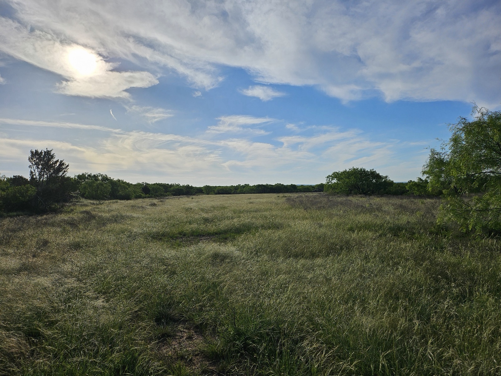 Hilago Ranch, Photo 11