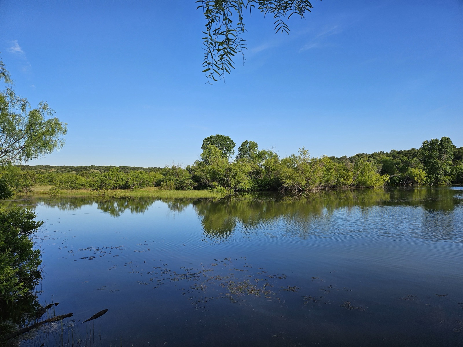 Hilago Ranch, Photo 12
