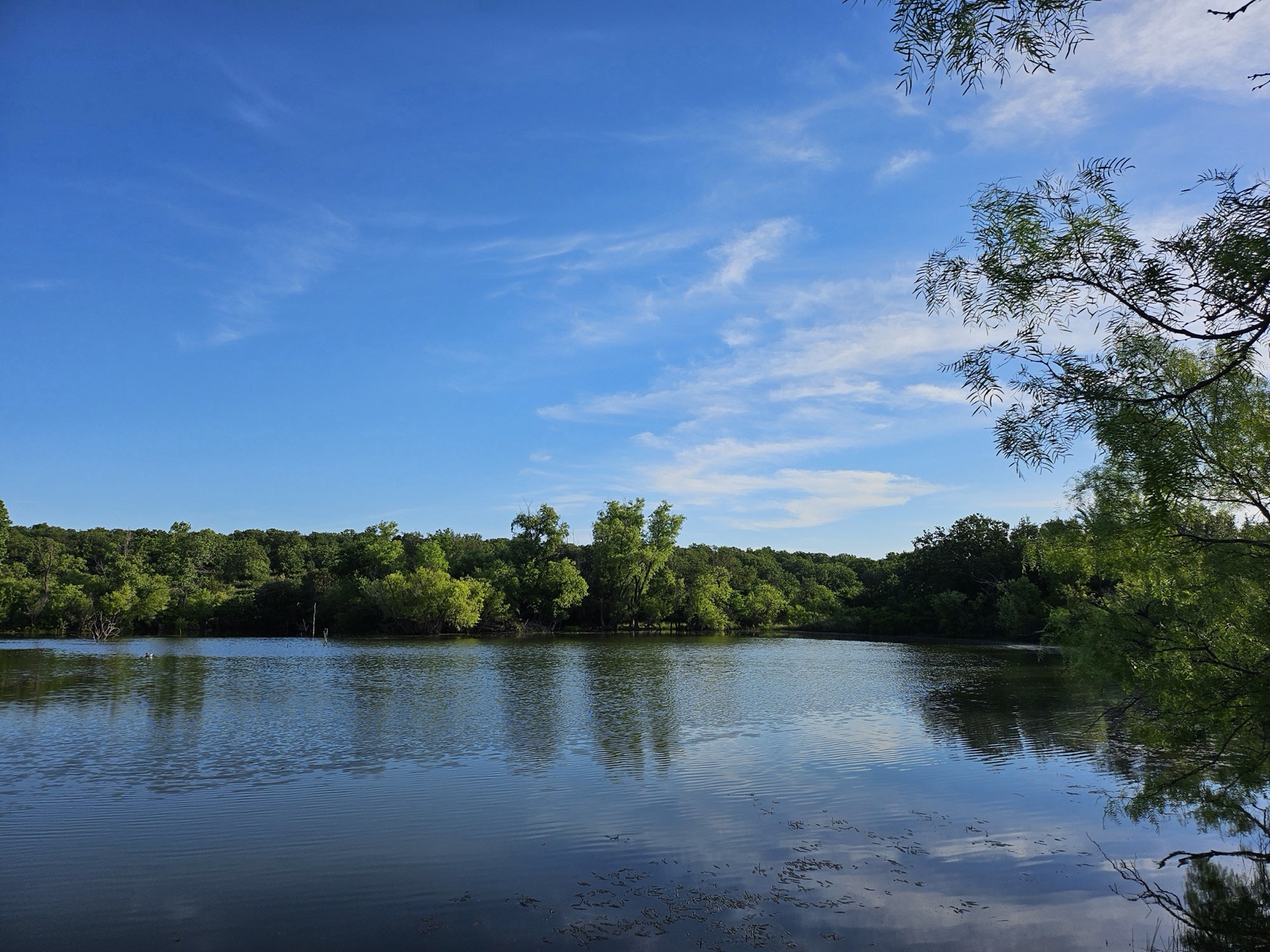 Hilago Ranch, Photo 13
