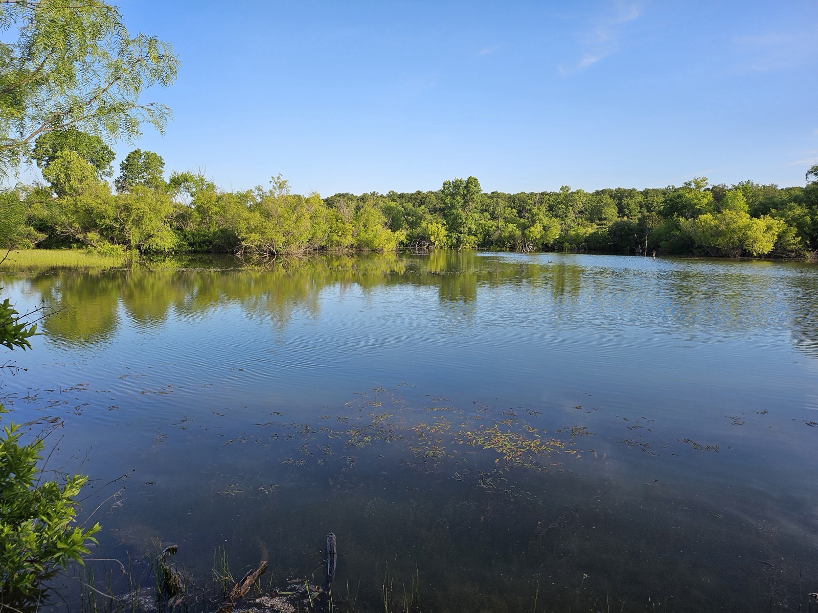 Hilago Ranch, Photo 14