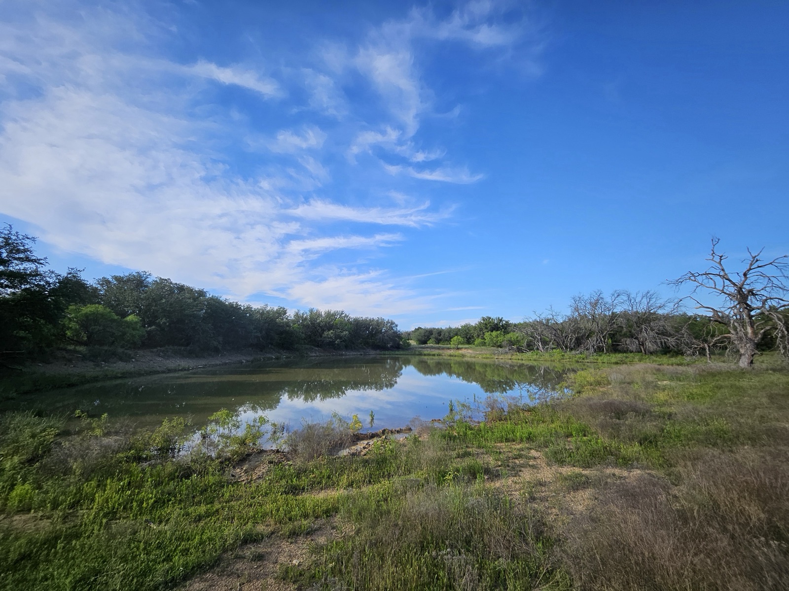 Hilago Ranch, Photo 16