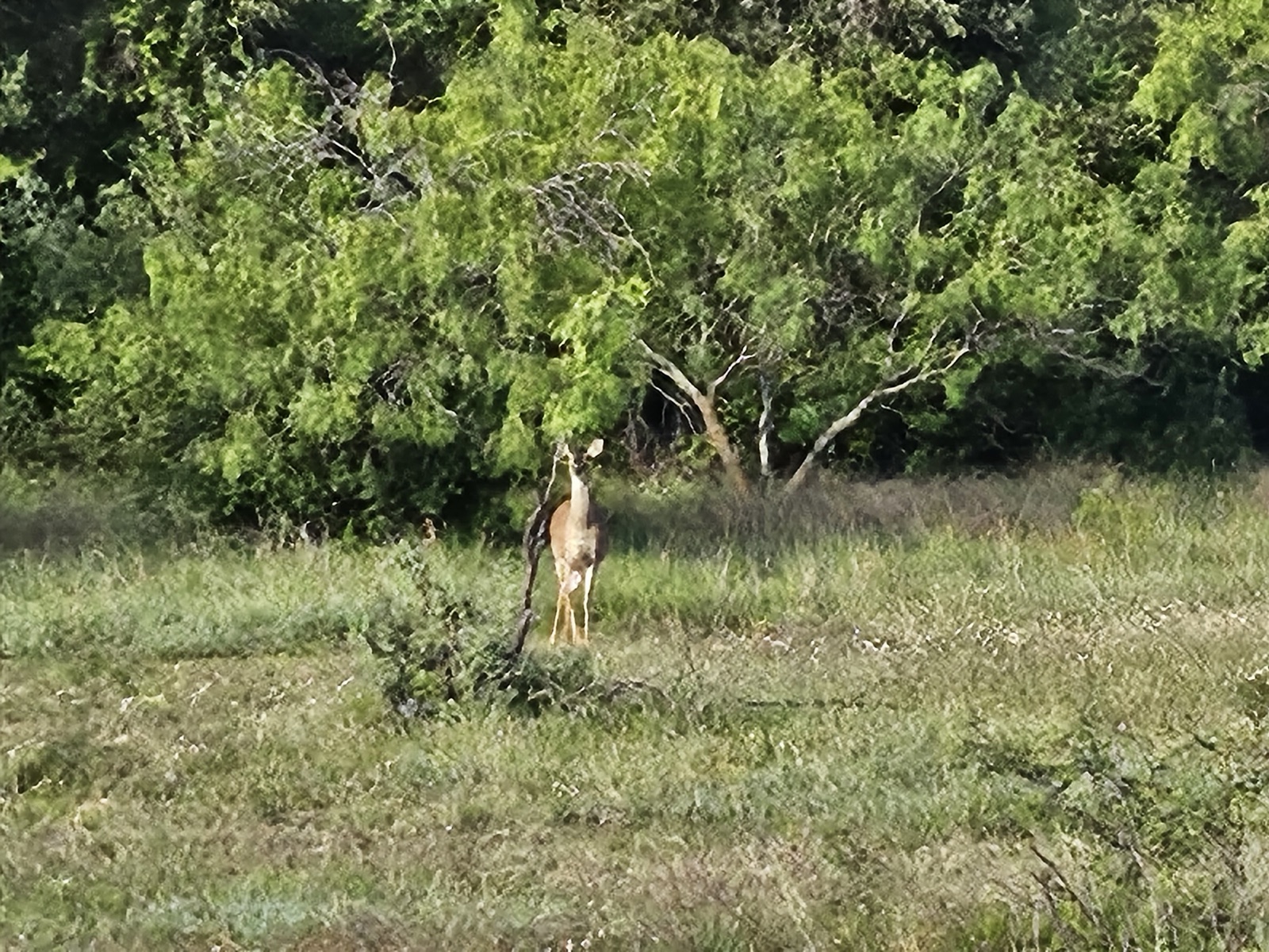 Hilago Ranch, Photo 17