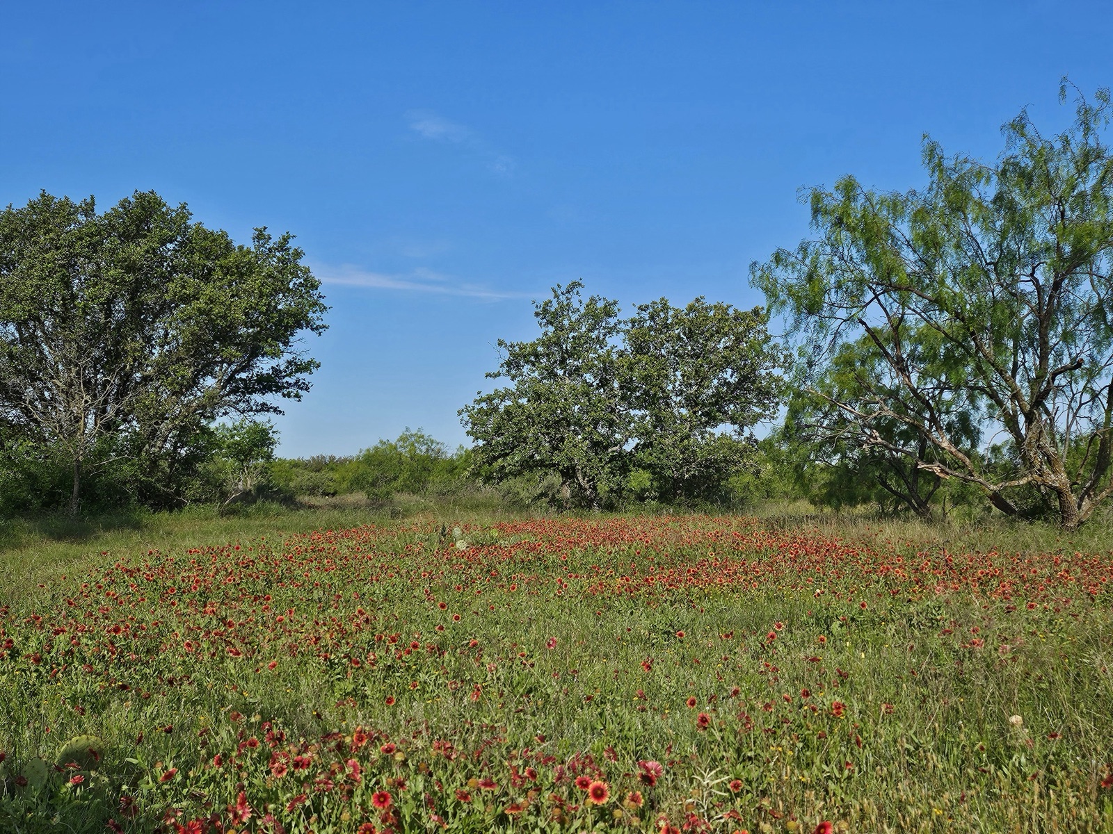 Hilago Ranch, Photo 18