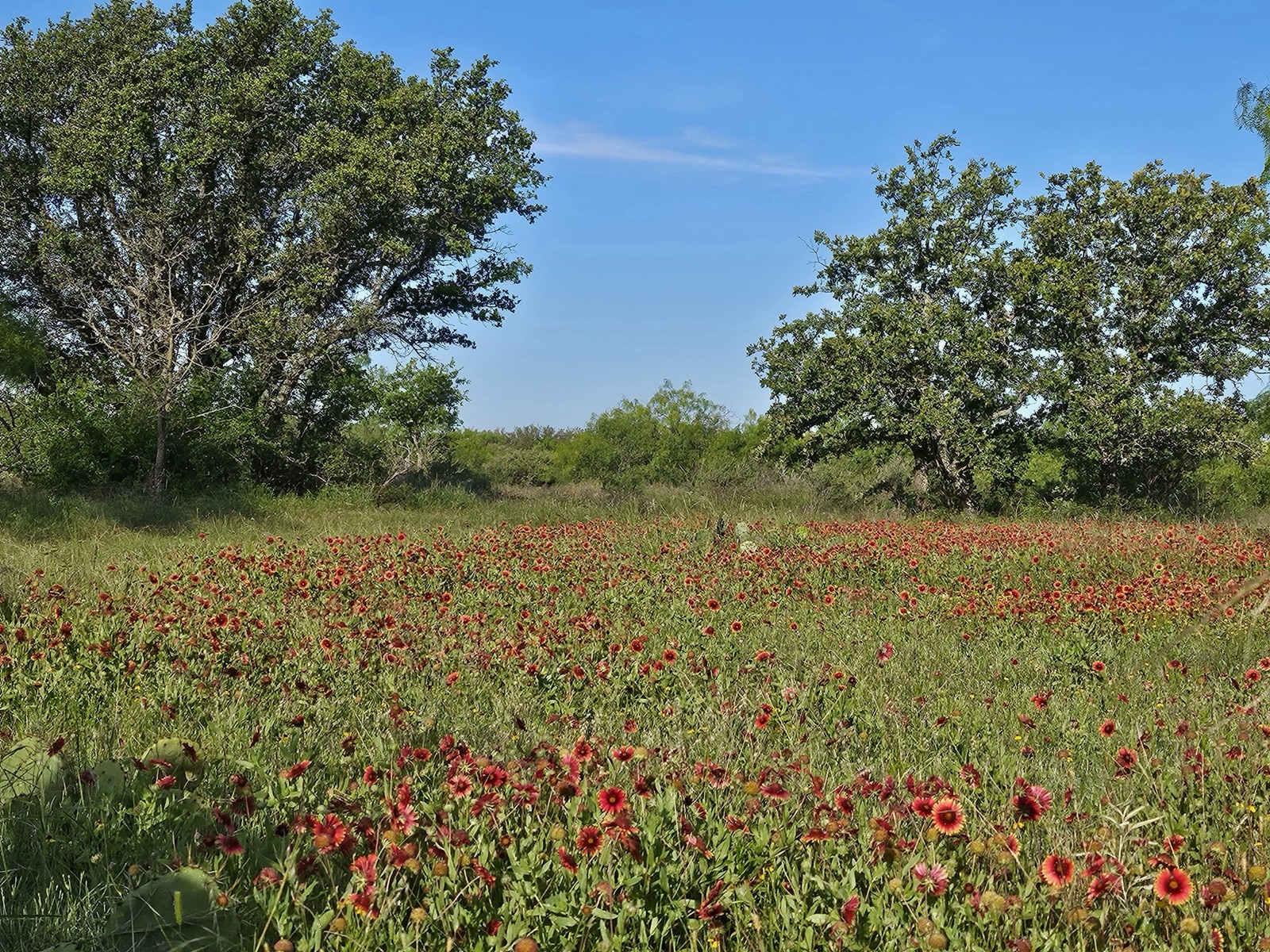 Hilago Ranch, Photo 19