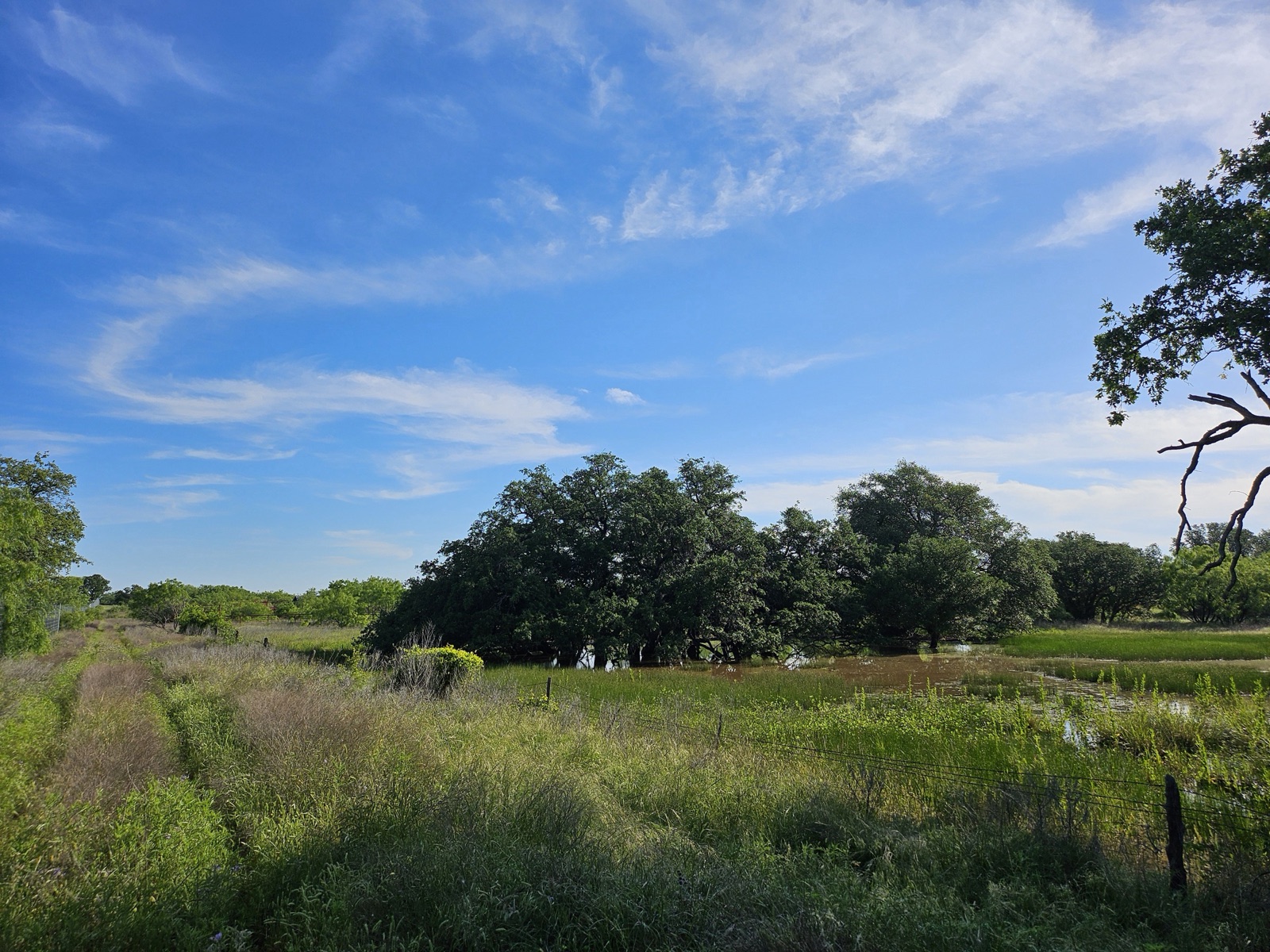 Hilago Ranch, Photo 21