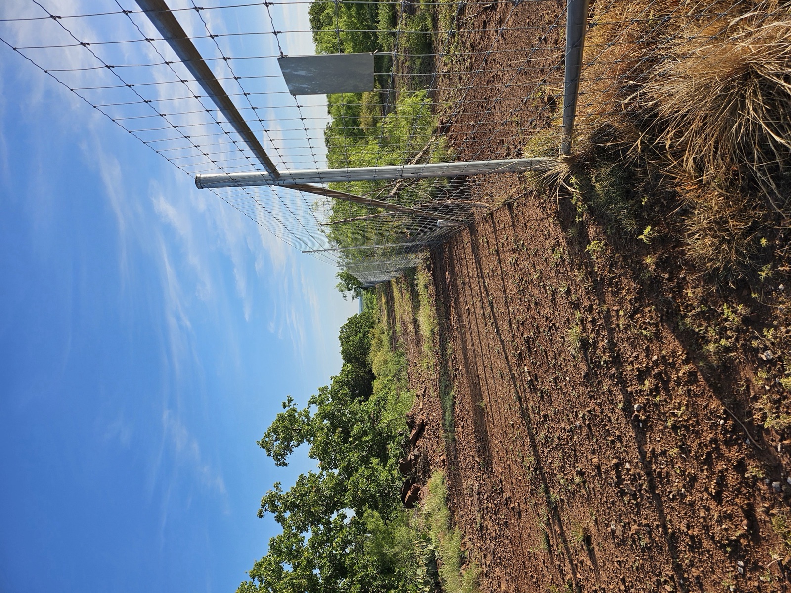 Hilago Ranch, Photo 6