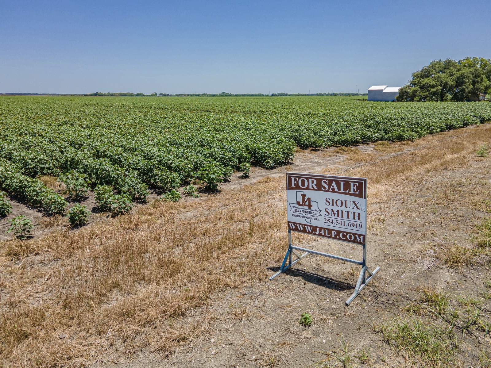 Richmond Cotton Farm, Photo 13