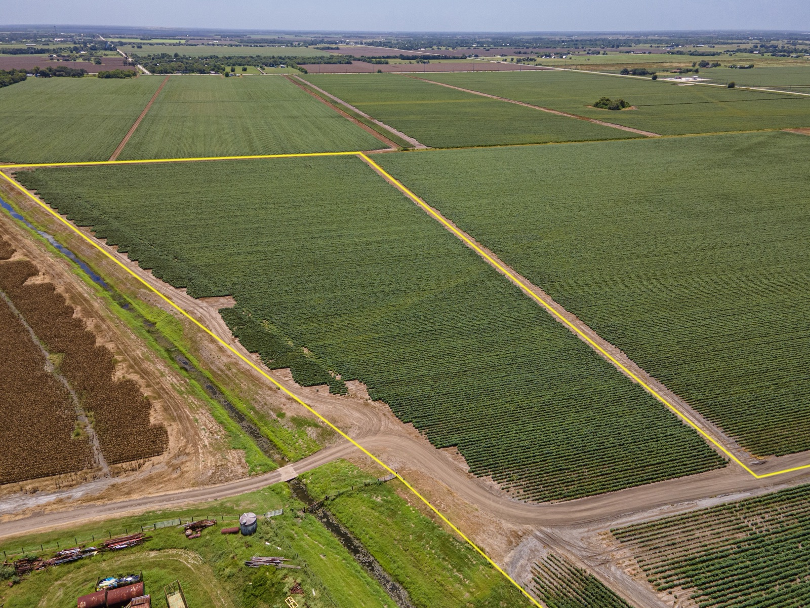 Richmond Cotton Farm, Photo 3