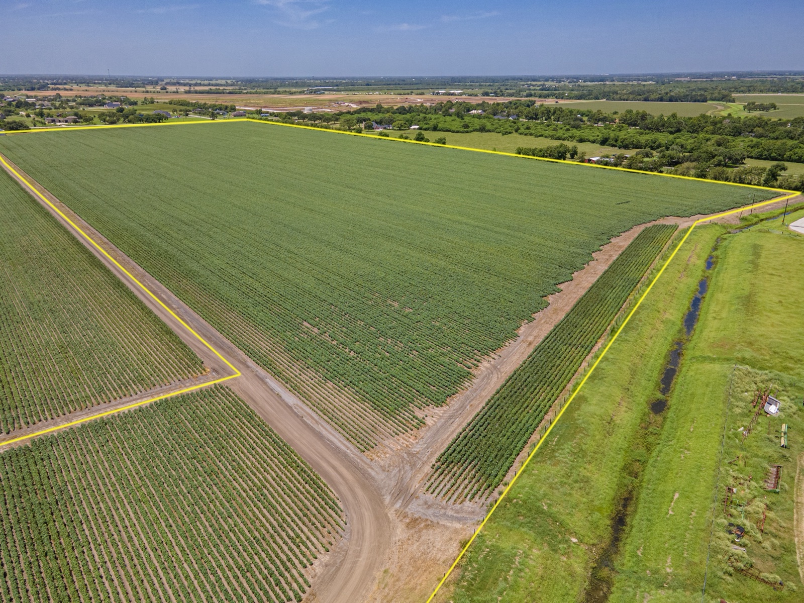 Richmond Cotton Farm, Photo 4