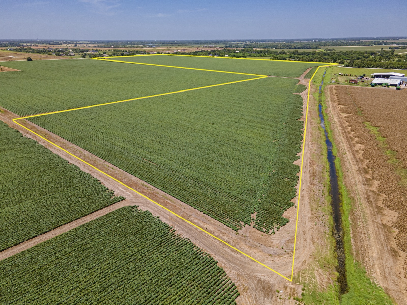 Richmond Cotton Farm, Photo 5